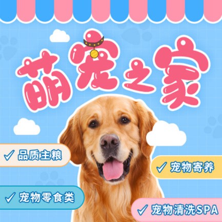 舟曲萌宠之家小程序开发